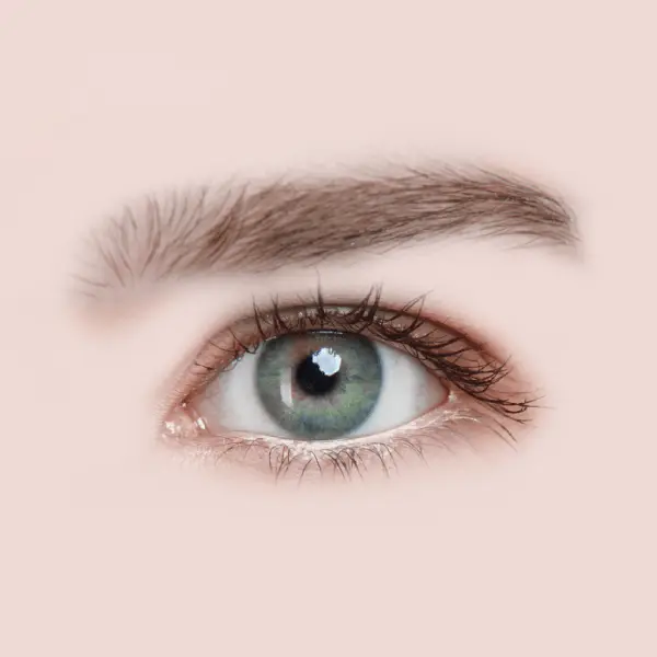 Global de la Mirada